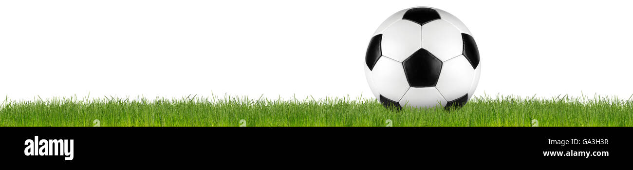 retro black white leather soccer ball on grass isolated on white background Stock Photo