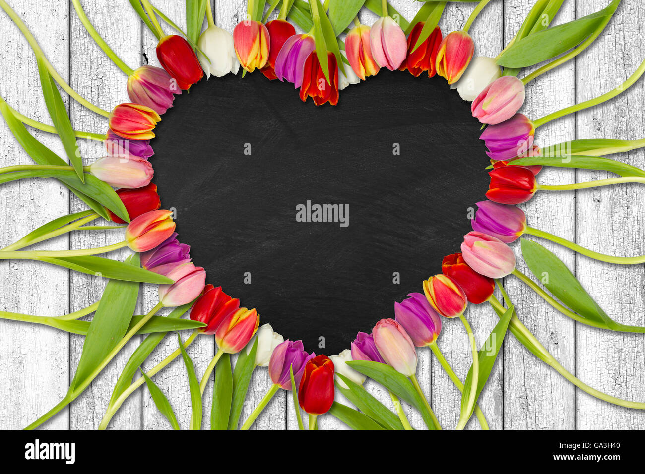 heart shaped out of tulips on white wooden background with slate Stock Photo