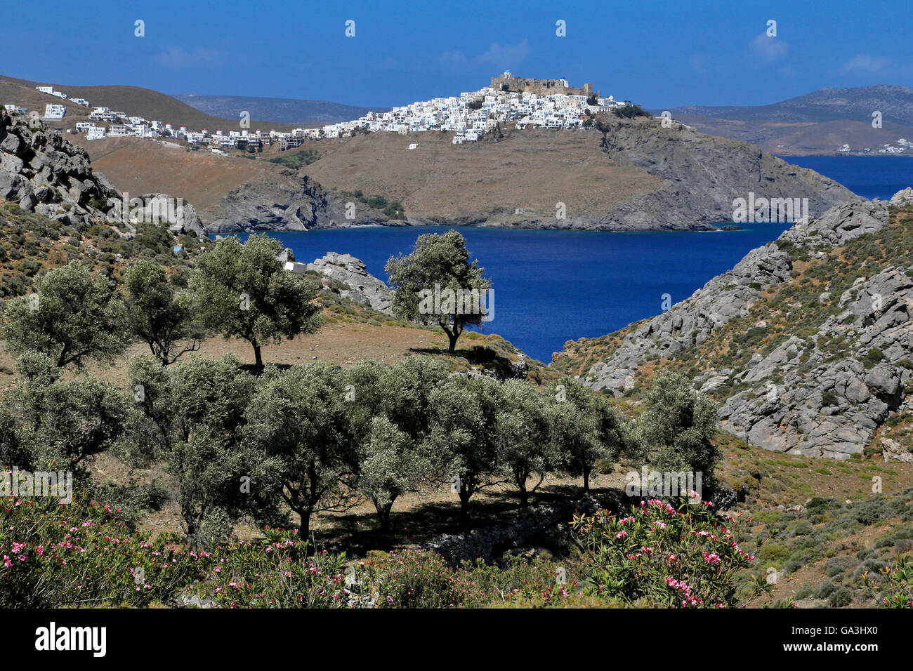 Olive trees and peaceful view on the Astypalaia Island, Greece Stock Photo