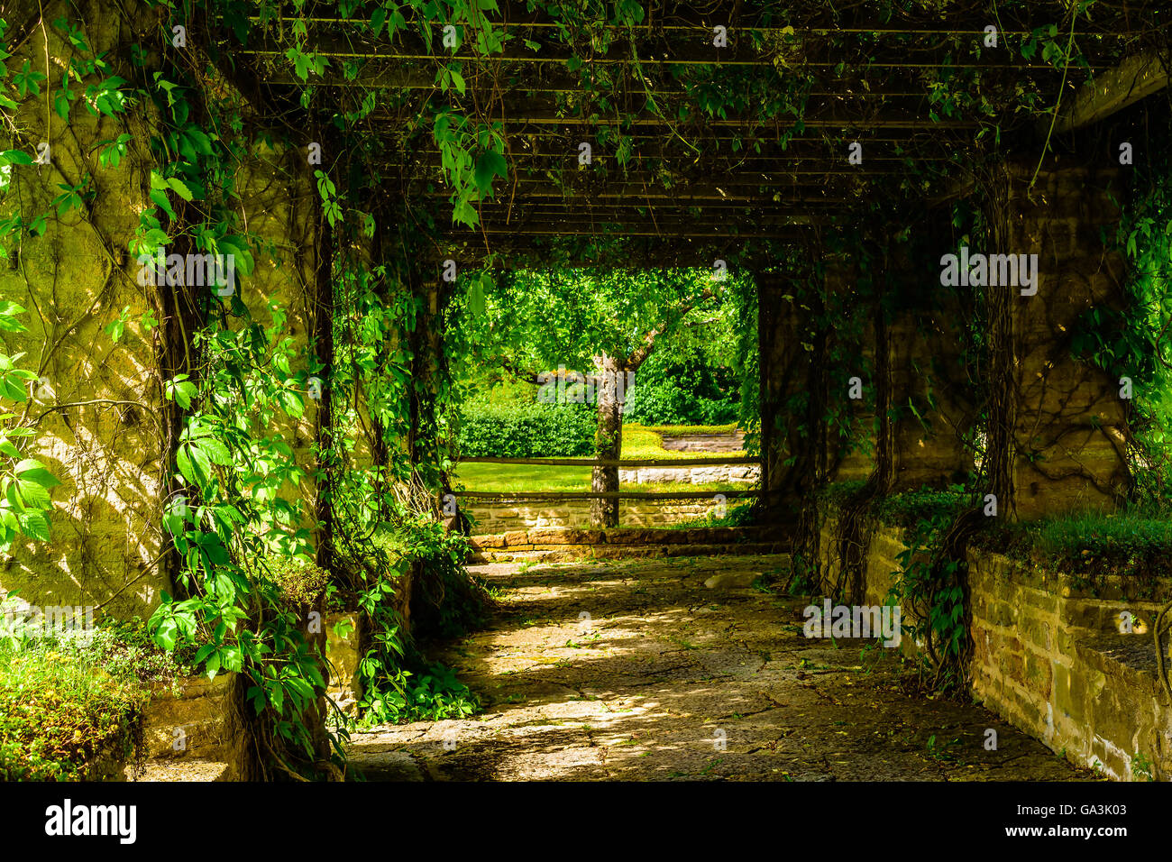 Overgrown walkway in a public cloister garth. Like a green and dark tunnel. Stock Photo