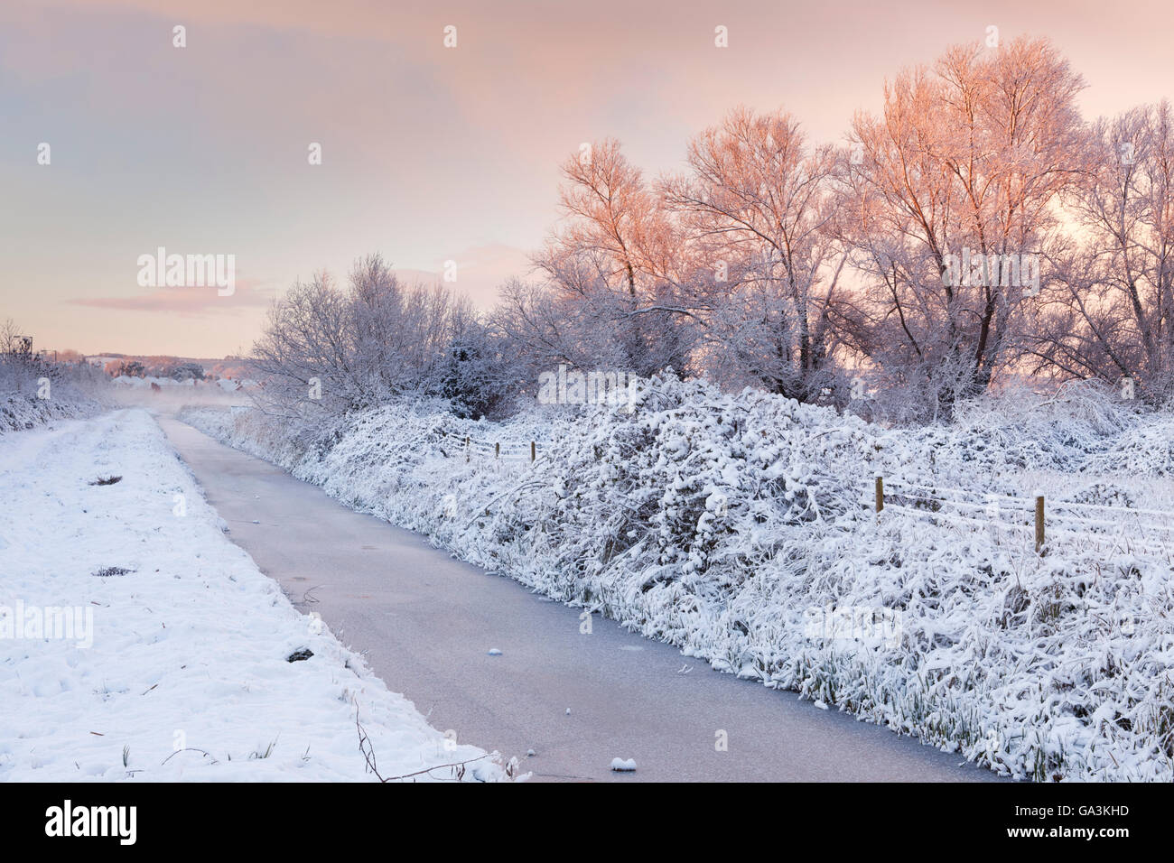 Dawn at the snowy Wembdon Rhyne, Somerset, England, United Kingdom, Europe Stock Photo