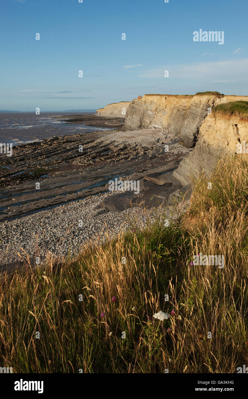 Eastern end of Klive Beach from the clifftop, Somerset, England, United Kingdom, Europe Stock Photo