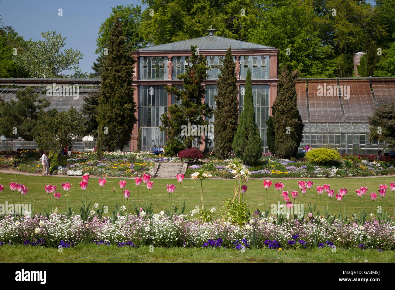 Plant show house, Botanical Garden, Karlsruhe, Baden-Wuerttemberg Stock Photo