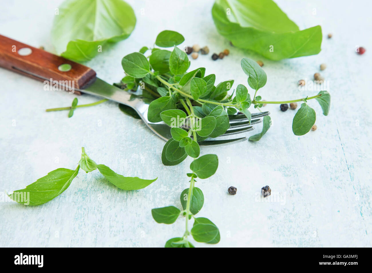 Fresh oregano herb with fork , basil leaves and pepper spice Stock