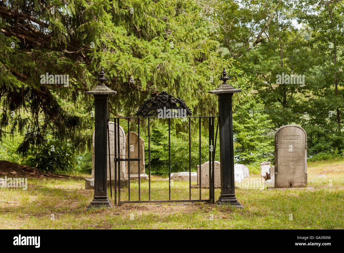Old abandoned 19th century cemetery Stock Photo - Alamy