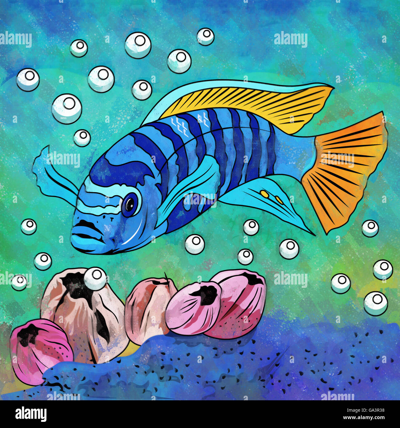 Colorful Aquarium Fish Stock Photo