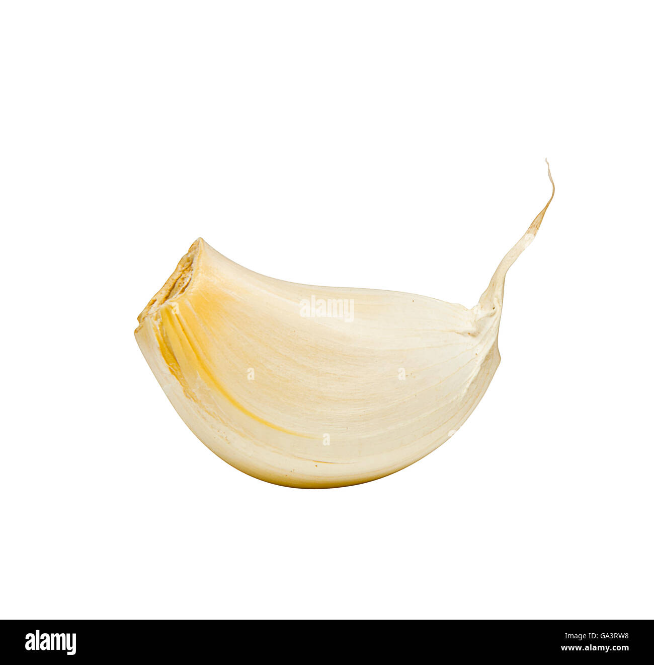 A Garlic Clove Isolated on White Background Stock Photo - Alamy