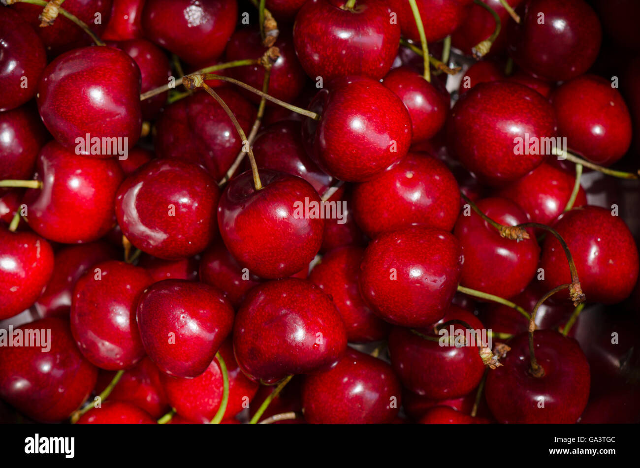 close-up-ripe-red-cherries-hi-res-stock-photography-and-images-alamy