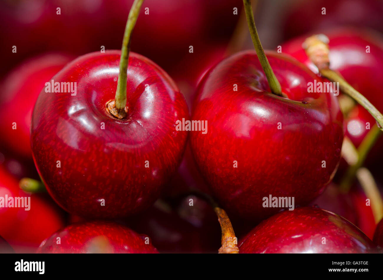 Close up of fresh ripe red cherries, cherry, fruit. Stock Photo