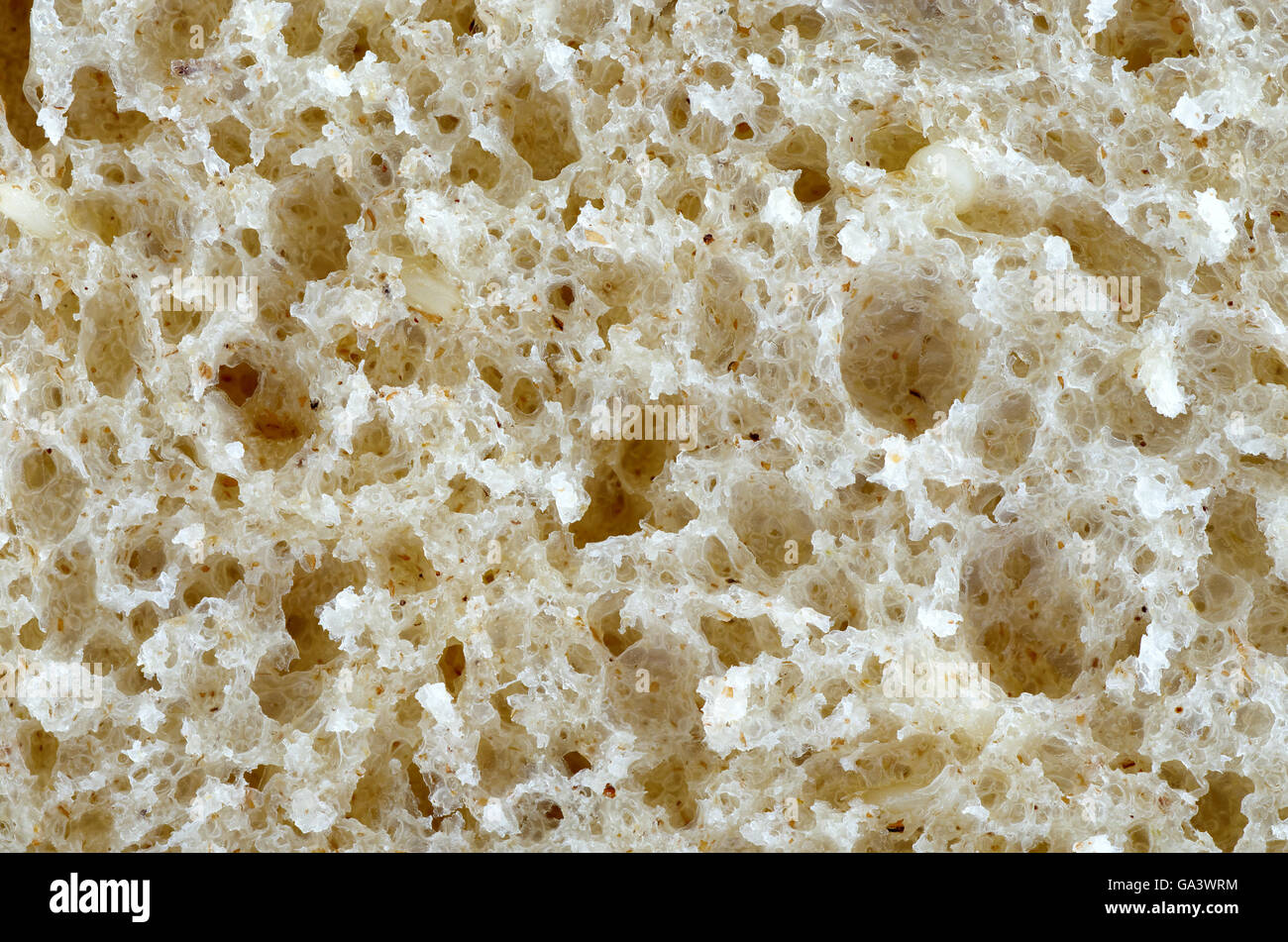 Biological texture. Element of design. Stock Photo