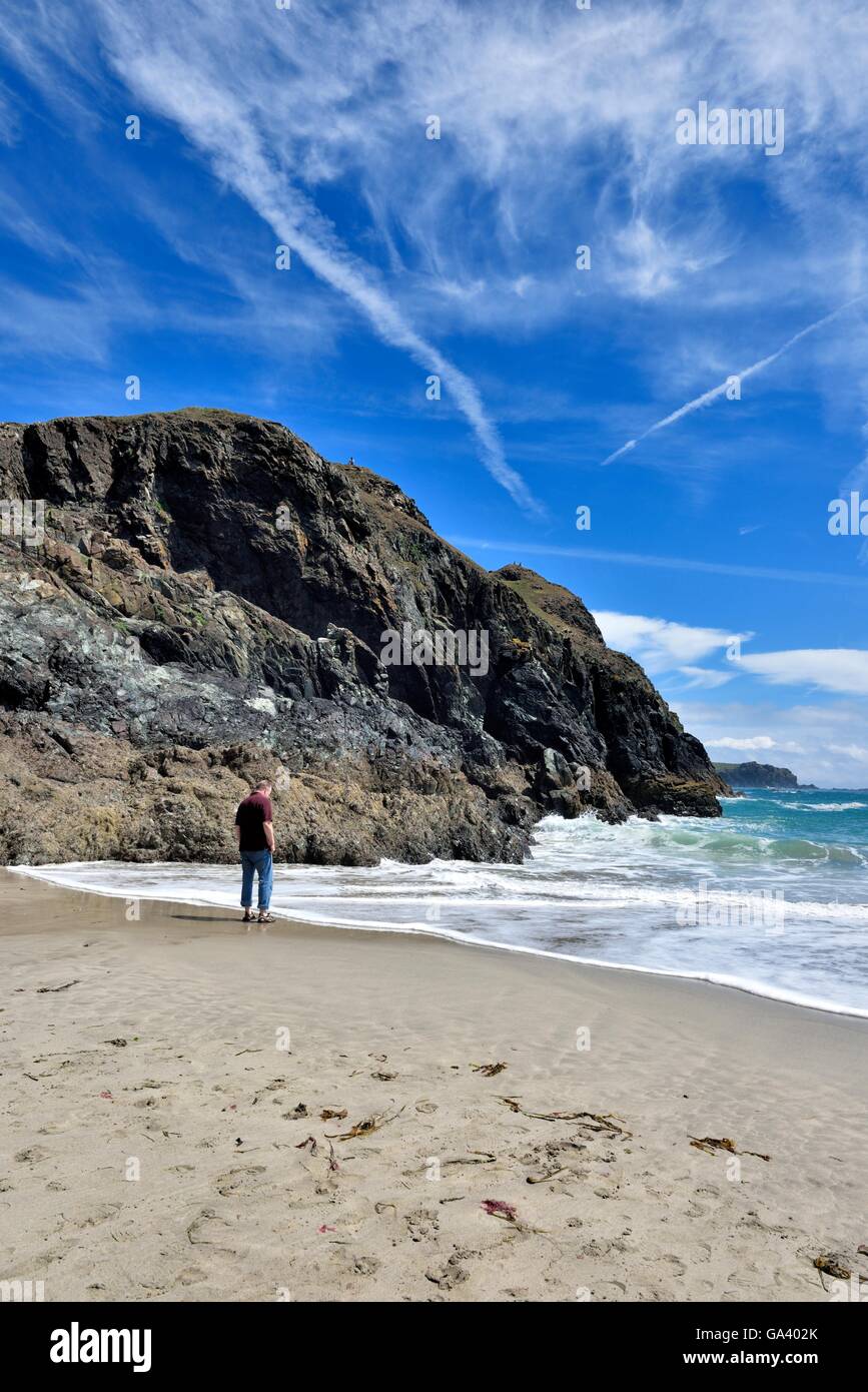A man standing on the beach at Kynance cove Cornwall England UK Stock Photo