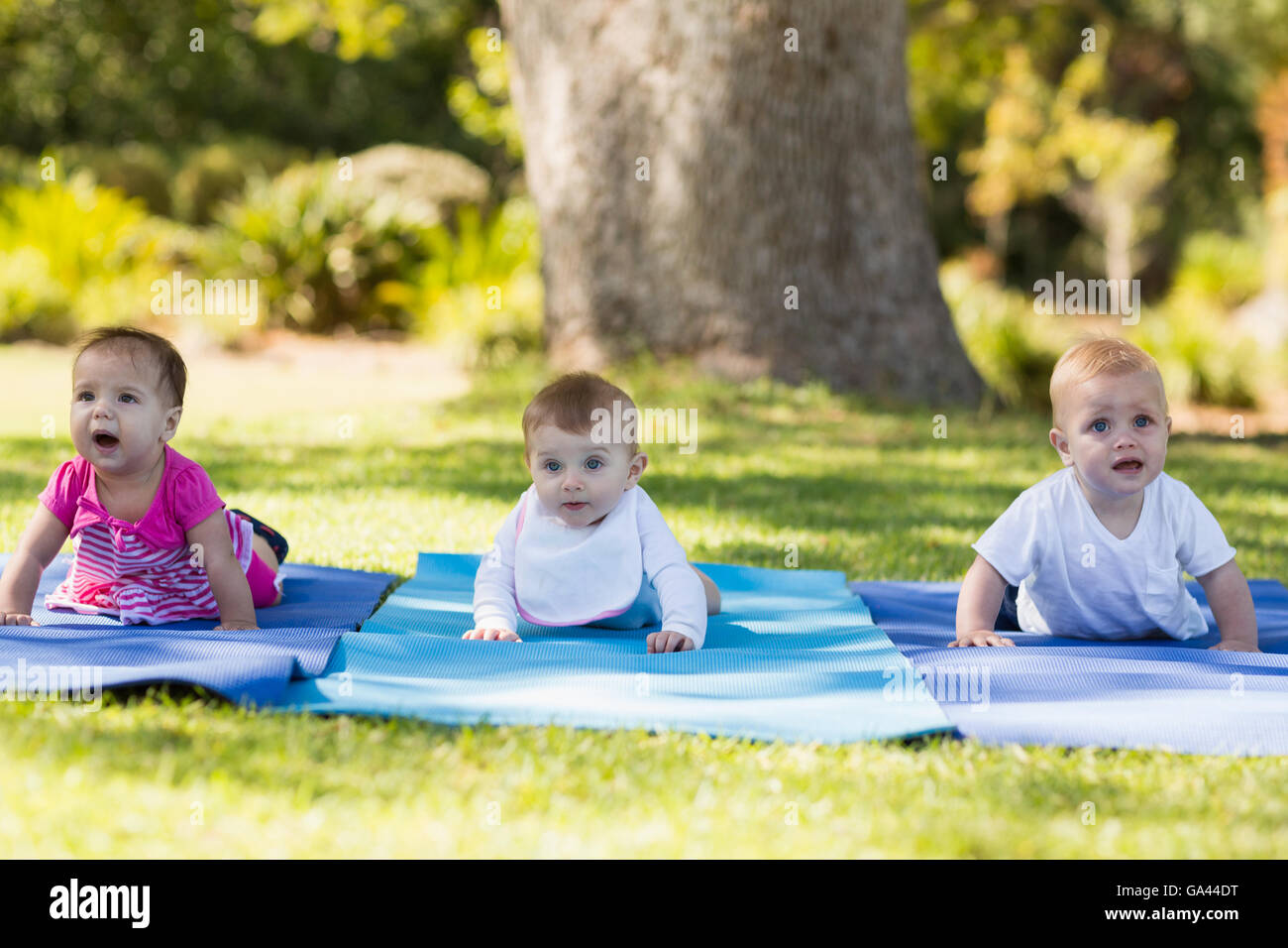 Three babies crawling on exercise-mat Stock Photo