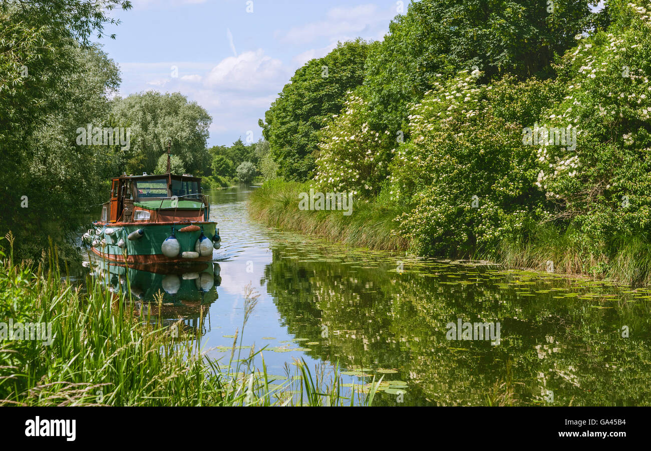 A river boat sails down the beck (canal) on a calm, summer morning flanked by trees in bloom. Stock Photo
