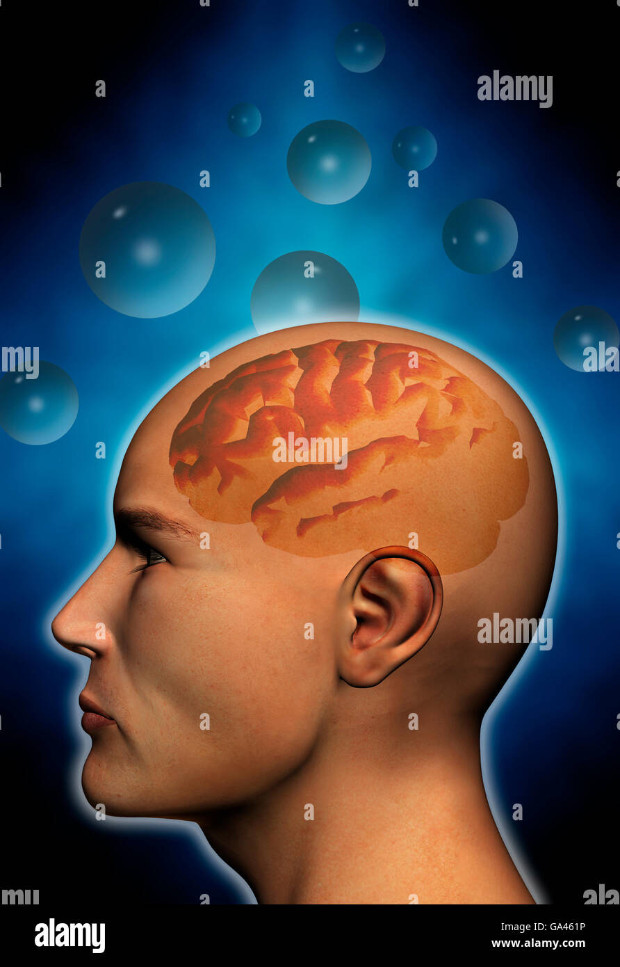 human brain concept Stock Photo