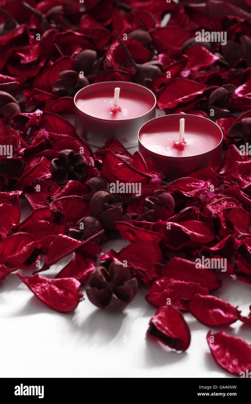 Red rose petals and candles on a white background Stock Photo Alamy