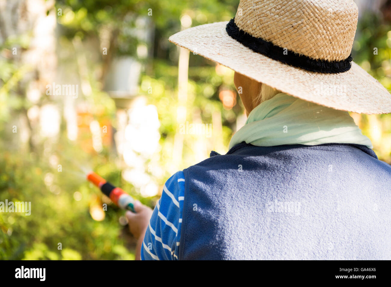 Rear view of gardener watering from hose at garden Stock Photo