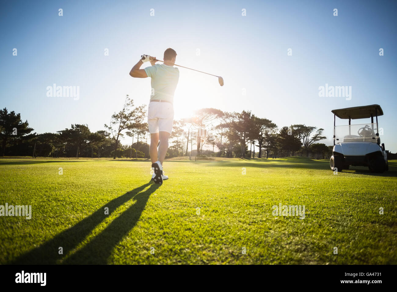 Rear view of male golfer taking shot Stock Photo