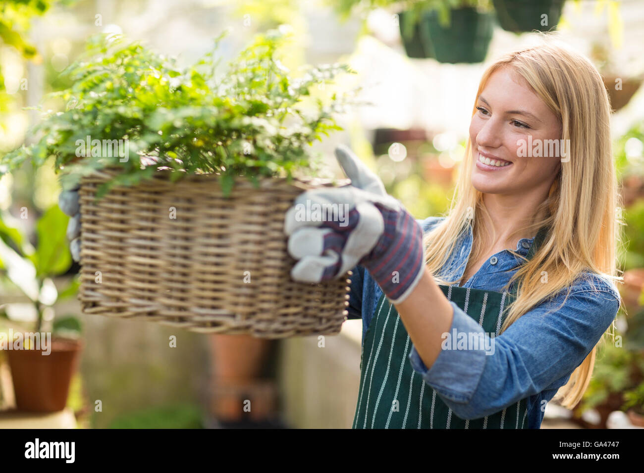 Woman holding plant in wicker basket at greenhouse Stock Photo - Alamy