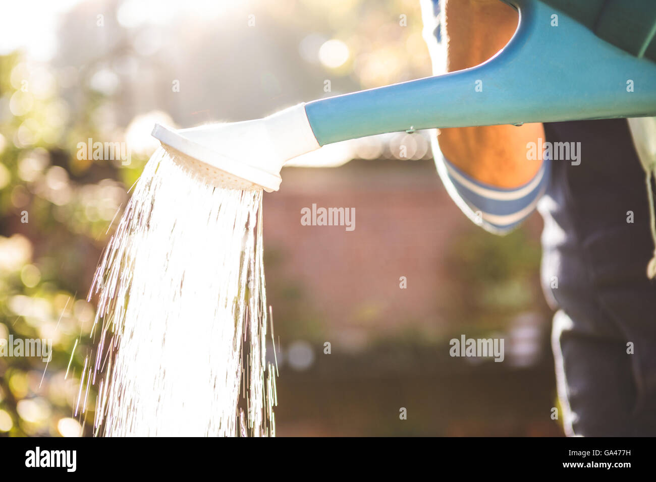 Midsection of gardener watering at garden Stock Photo