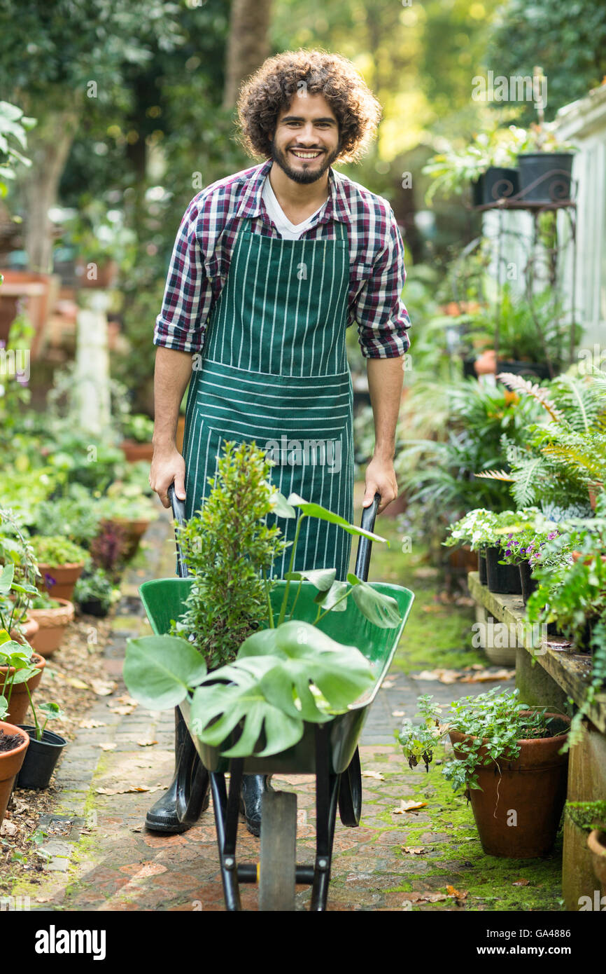 Male gardener carrying plants in wheelbarrow Stock Photo