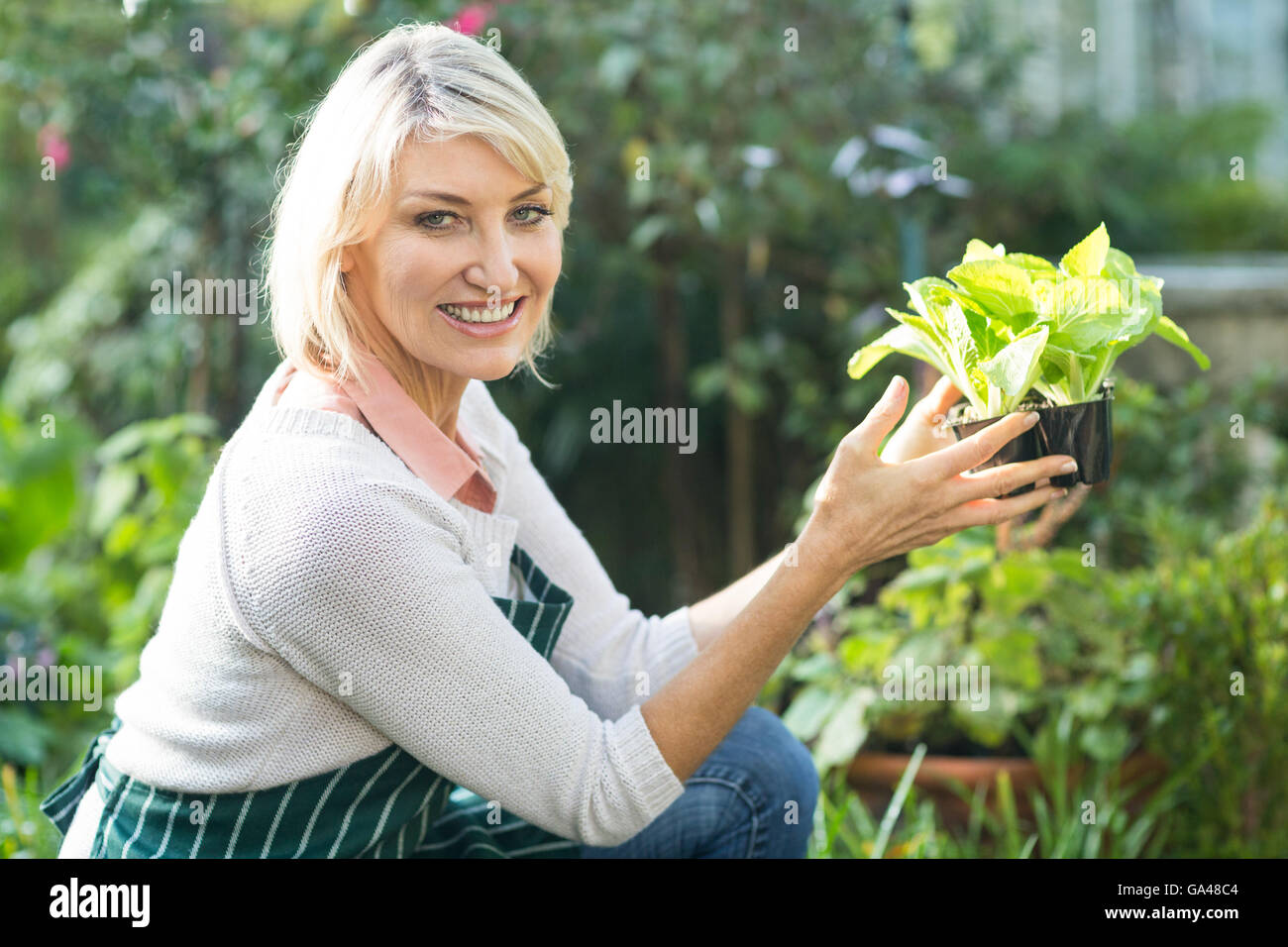 Confident female gardener holding potted plant Stock Photo - Alamy