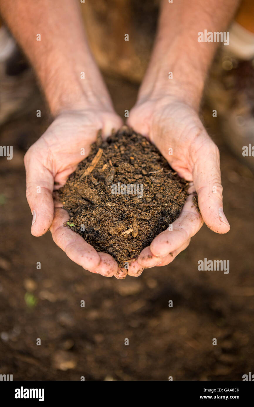 Gardener with dirt in cupped hands at garden Stock Photo