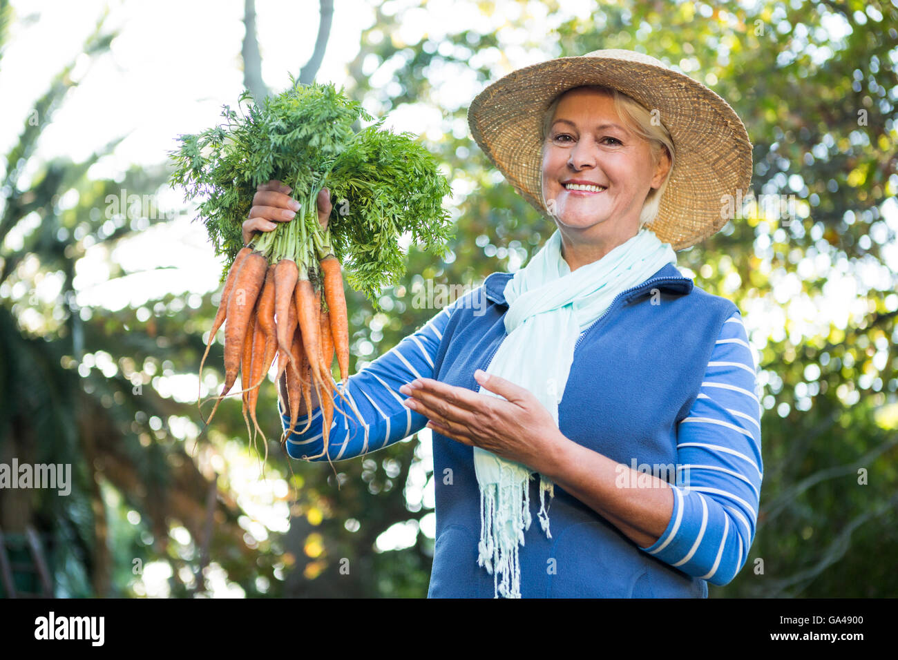 Portrait of happy customer with fresh carrots at greenhouse Stock Photo ...