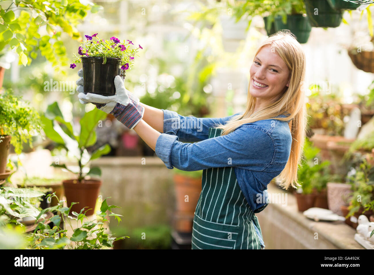 Portrait of female gardener holding flowering plant Stock Photo - Alamy