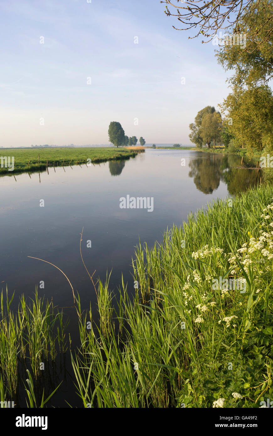 The Bakkerskil is a creek near Nieuwendijk in the Dutch nature reserve Biesbosch Stock Photo