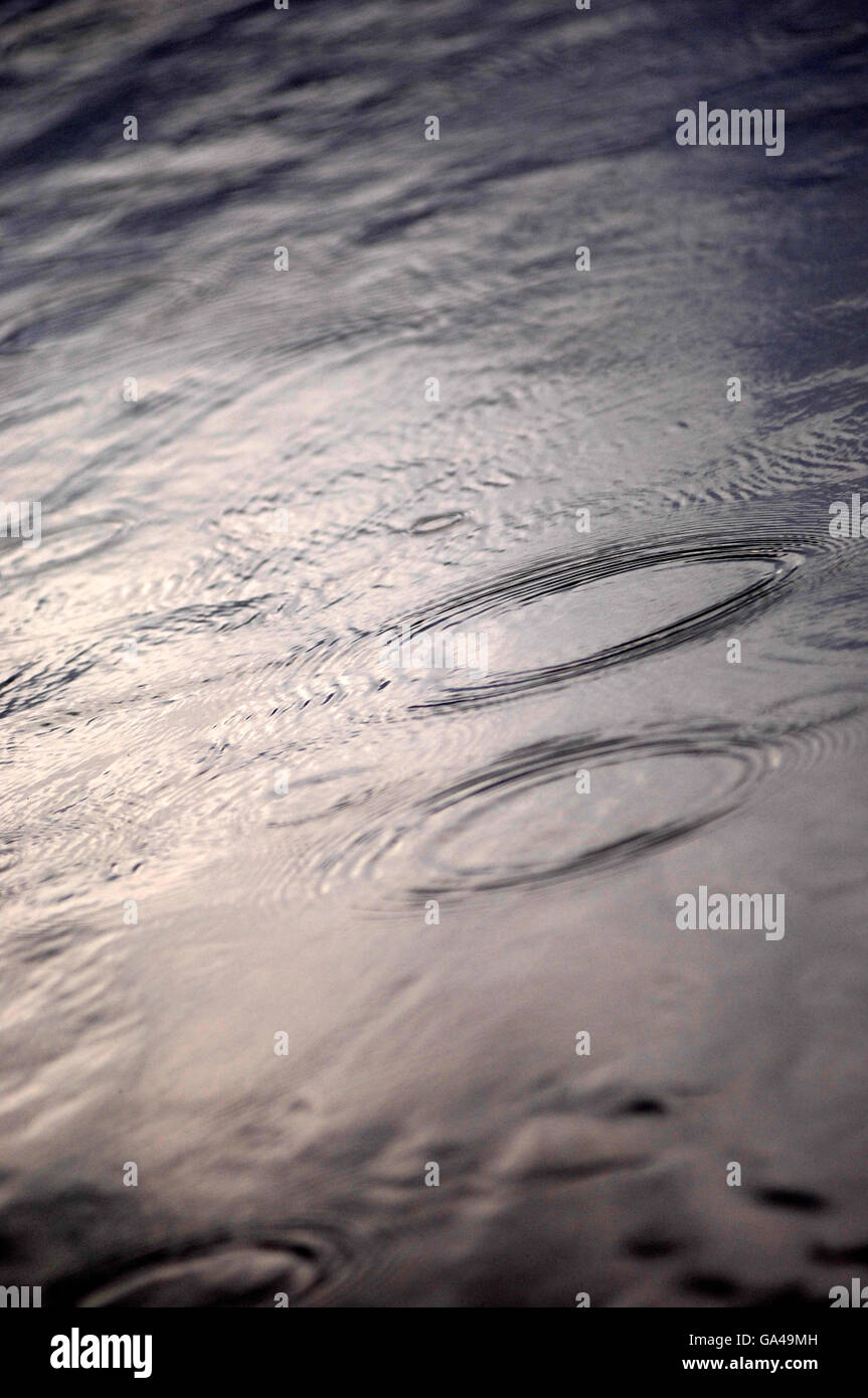 Rain drops in a puddle Stock Photo - Alamy