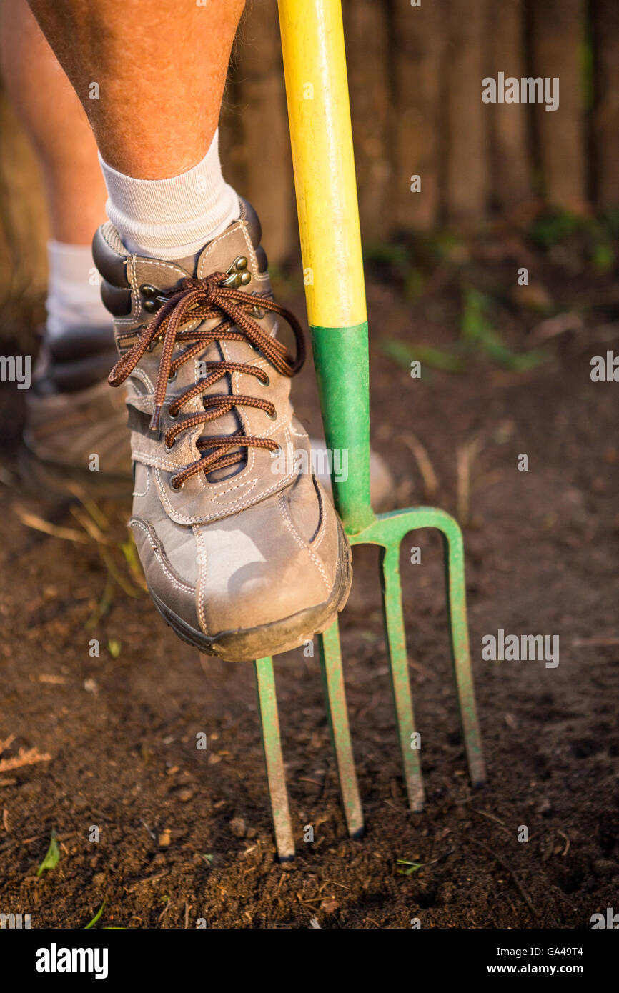 Low section of male gardener stepping on fork at garden Stock Photo
