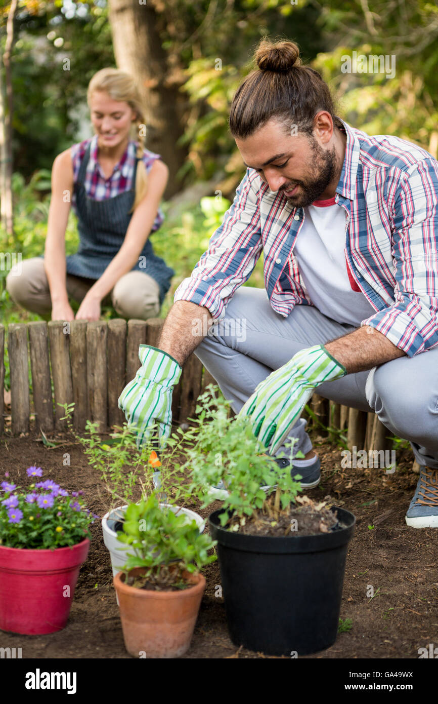 Male gardener planting with colleague at garden Stock Photo