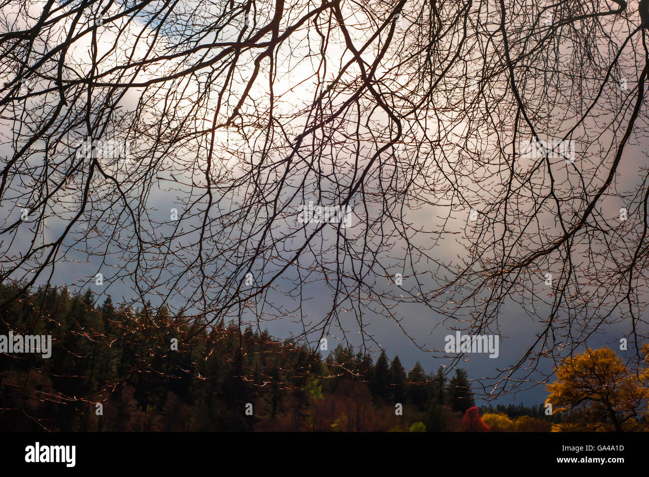 Shearwater Lake - landscape Stock Photo