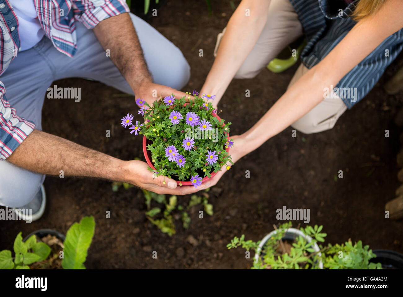 High angle view of gardeners holding potted plants at garden Stock ...