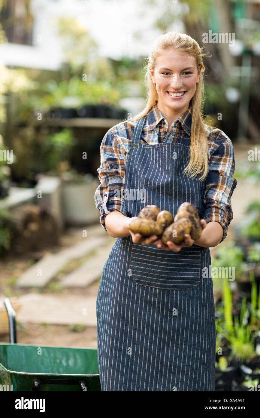 Female gardener holding harvested potatoes Stock Photo