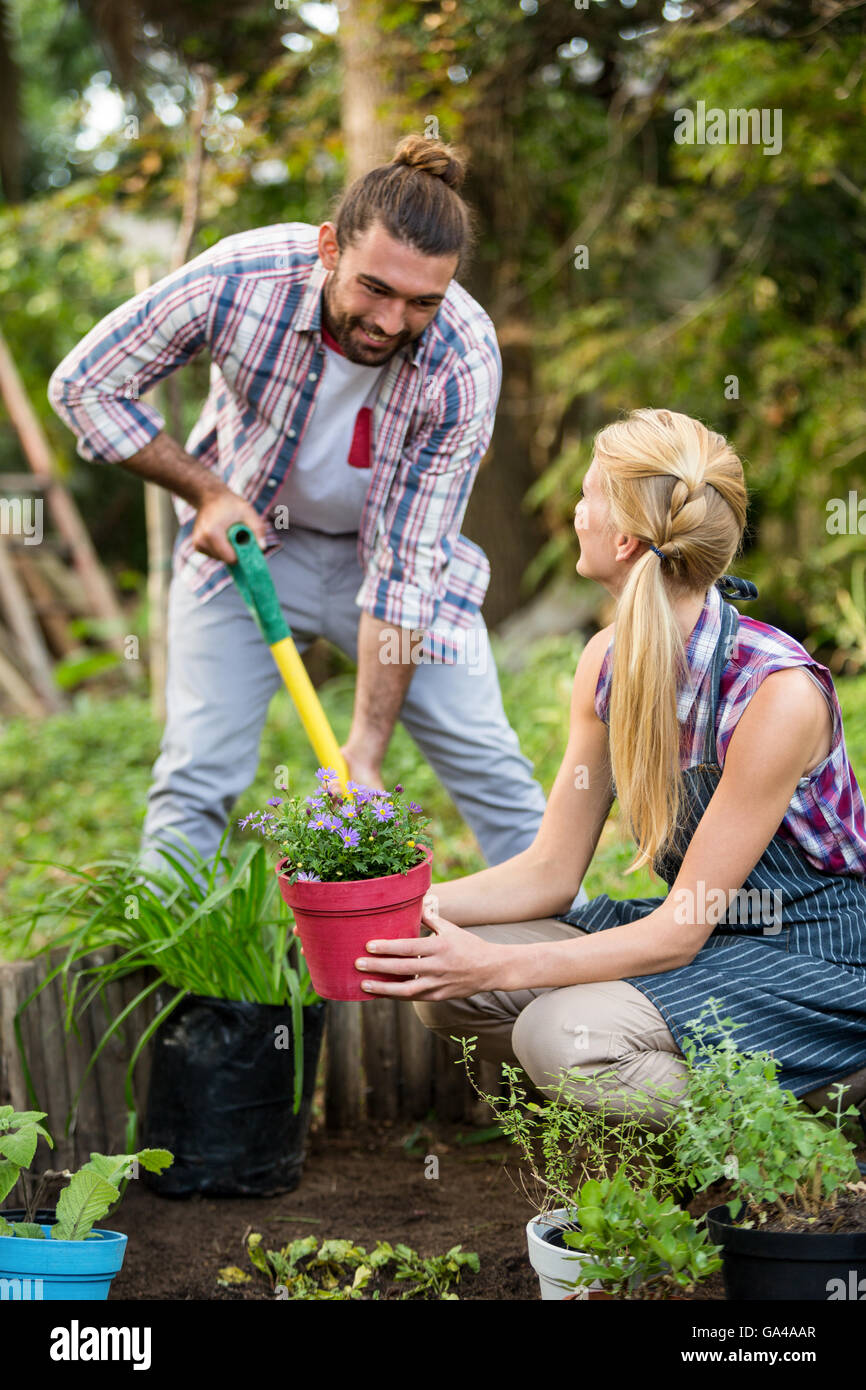Happy gardeners planting potted plants at garden Stock Photo - Alamy
