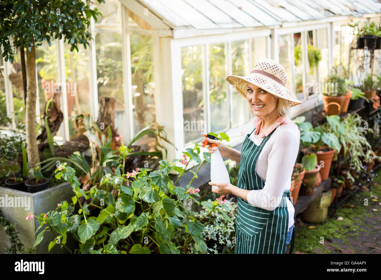 Happy female gardener watering plants Stock Photo - Alamy