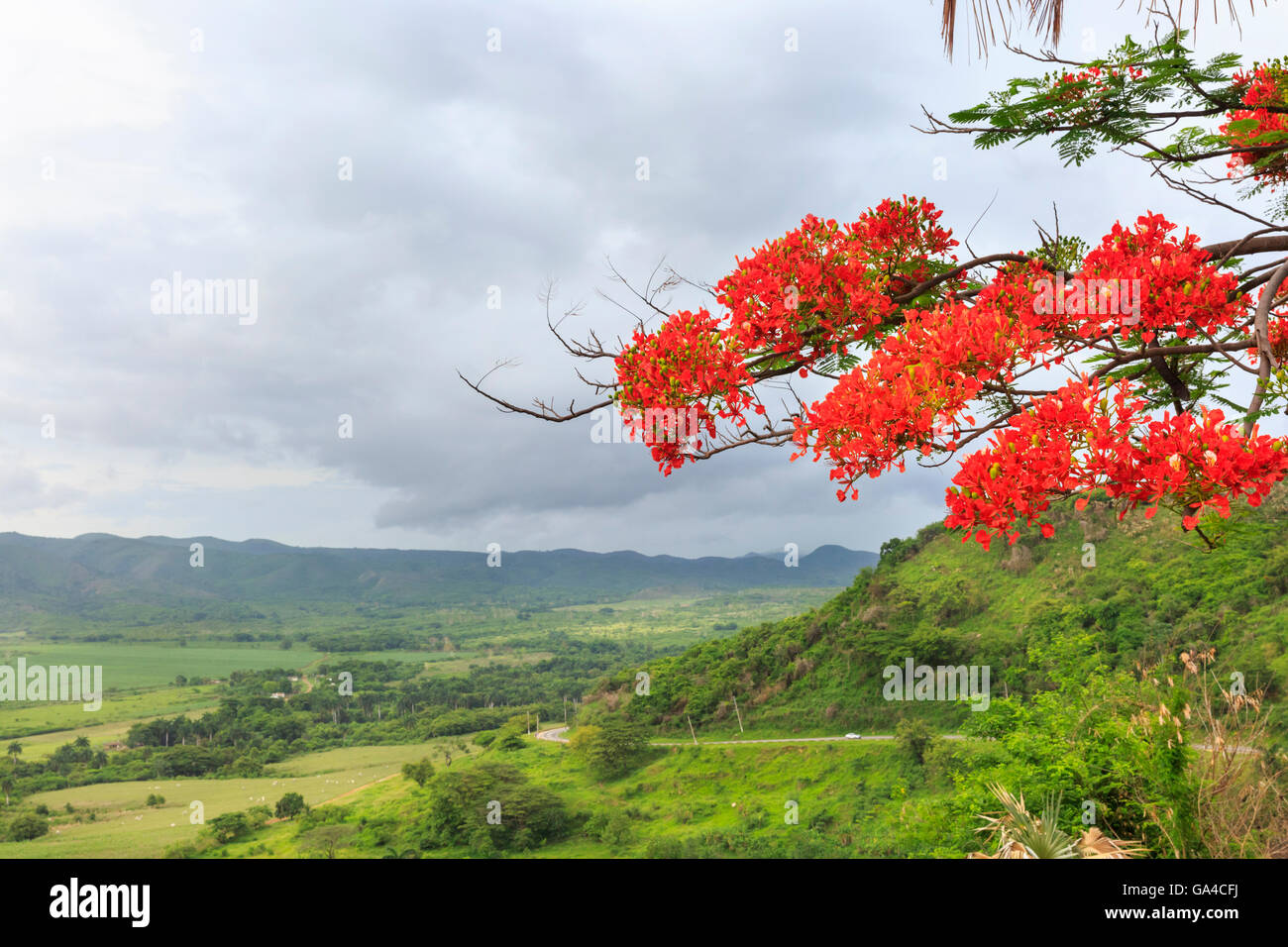 Cuban rural landscape - Valle de los Ingenios, Valley of the Sugar ...