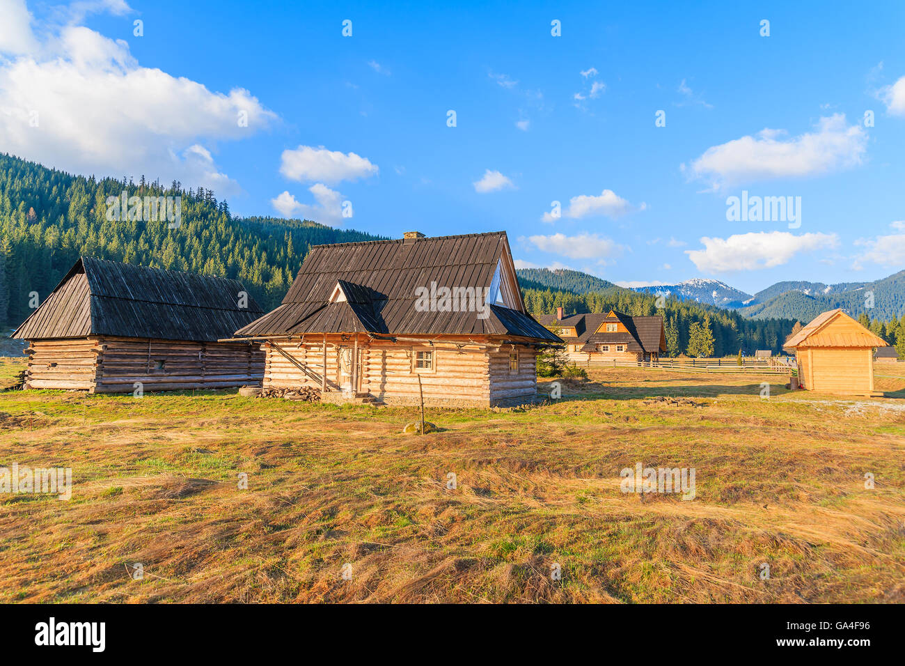 Wooden huts on field in Chocholowska valley, Tatra Mountains, Poland Stock Photo