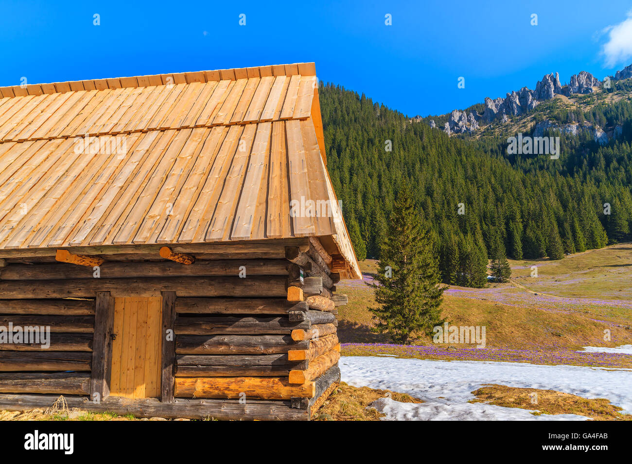 Wooden hut and in Chocholowska valley in spring season, Tatra Mountains, Poland Stock Photo