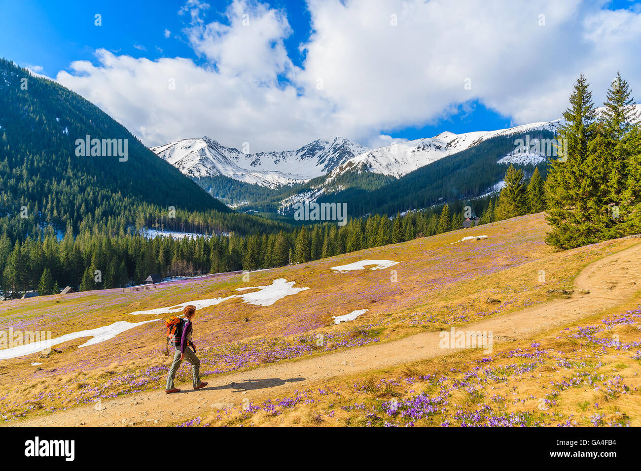 Young woman tourist walking on hiking path in Chocholowska valley in spring season, Tatra Mountains, Poland Stock Photo