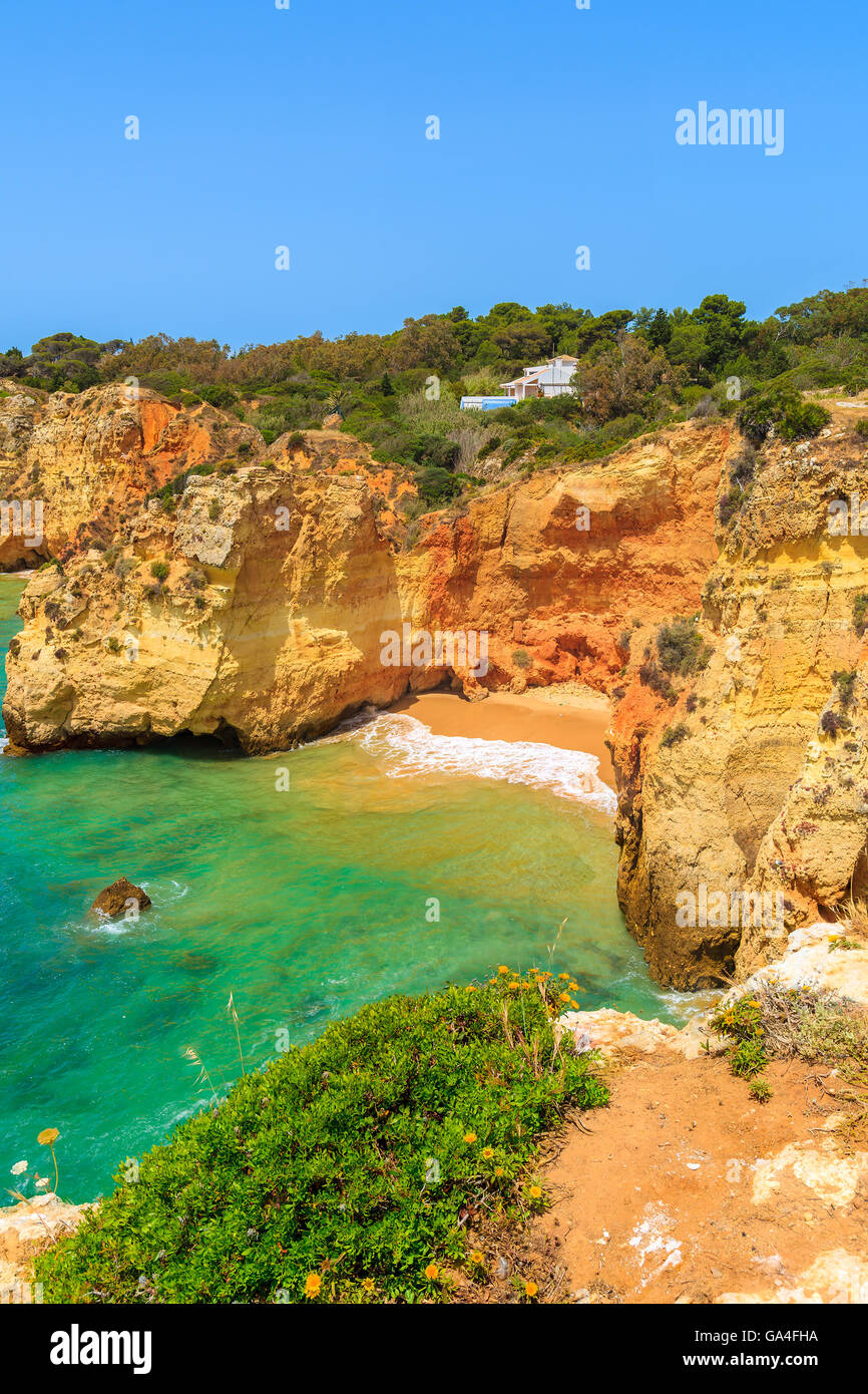 Green plants in spring and view of beautiful secluded beach, Algarve region, Portugal Stock Photo