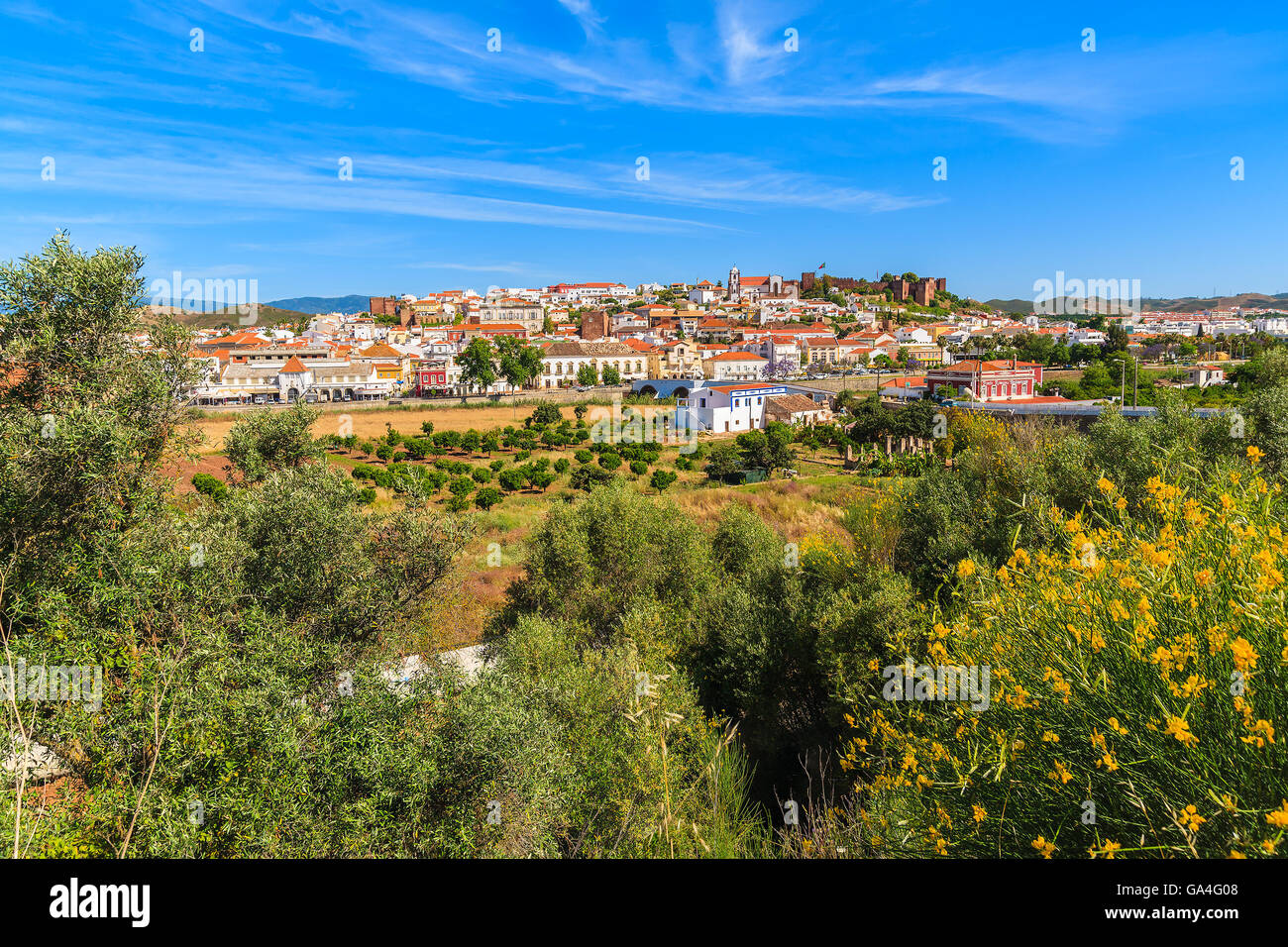 Spring yellow flowers with view of Silves town built on green hill, Algarve region, Portugal Stock Photo