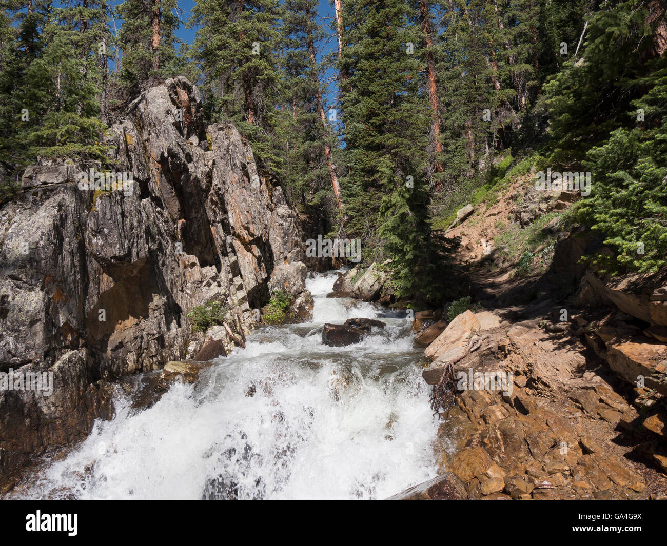 Whitewater on the creek, Missouri Creek trail, Holy Cross Wilderness Area south of Minturn, Colorado. Stock Photo