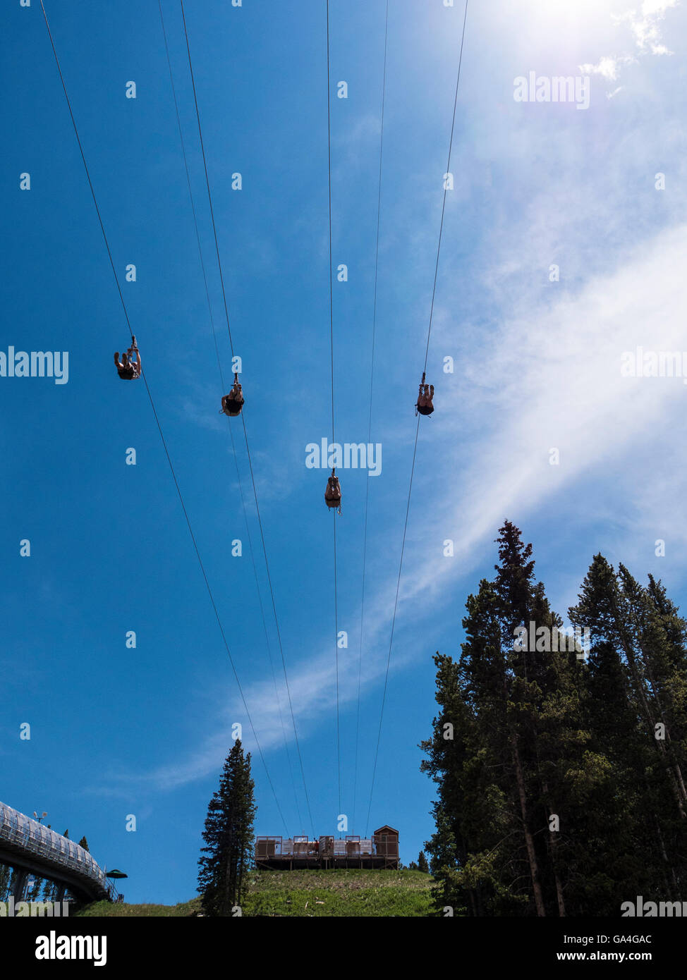 Golden Eagle Zipline Epic Discovery Center At Eagles Nest