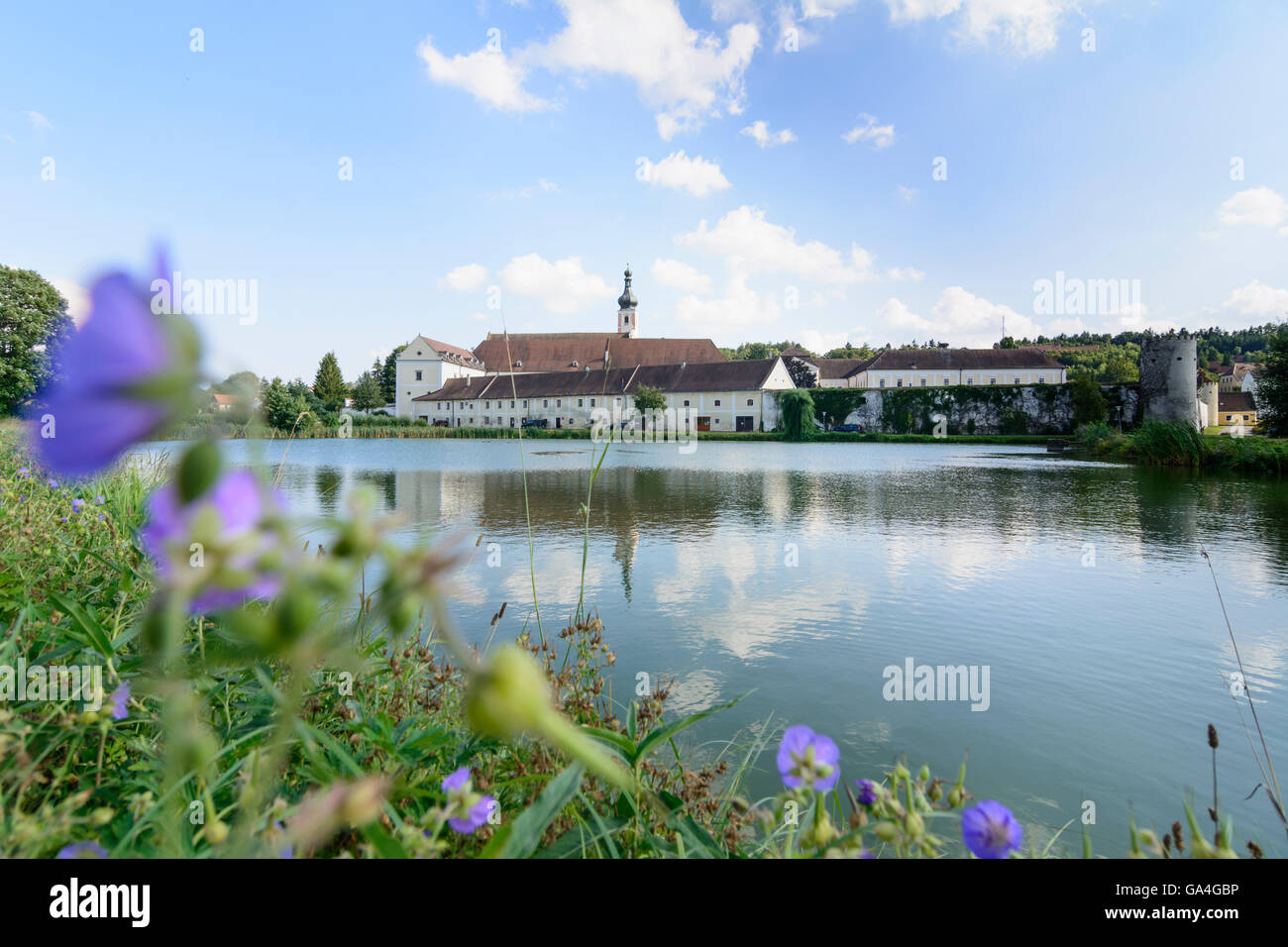 50+ Teich Niederösterreich, Der teich liegt in niederösterreich