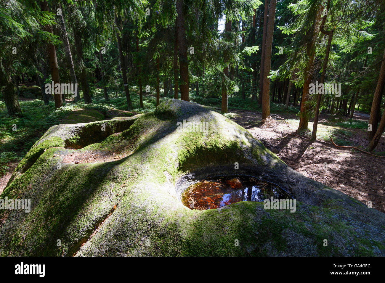 Kautzen Place of the scorpion in Engelbrechts (formation of granite stones , place of pilgrimage for esoteric): Antares (Herrgot Stock Photo