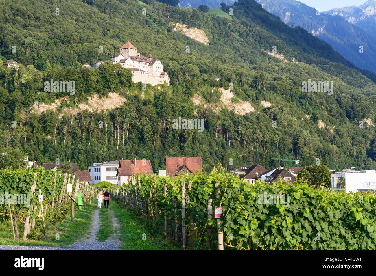 Vaduz vineyard of the royal domain, Vaduz Castle Liechtenstein Stock Photo