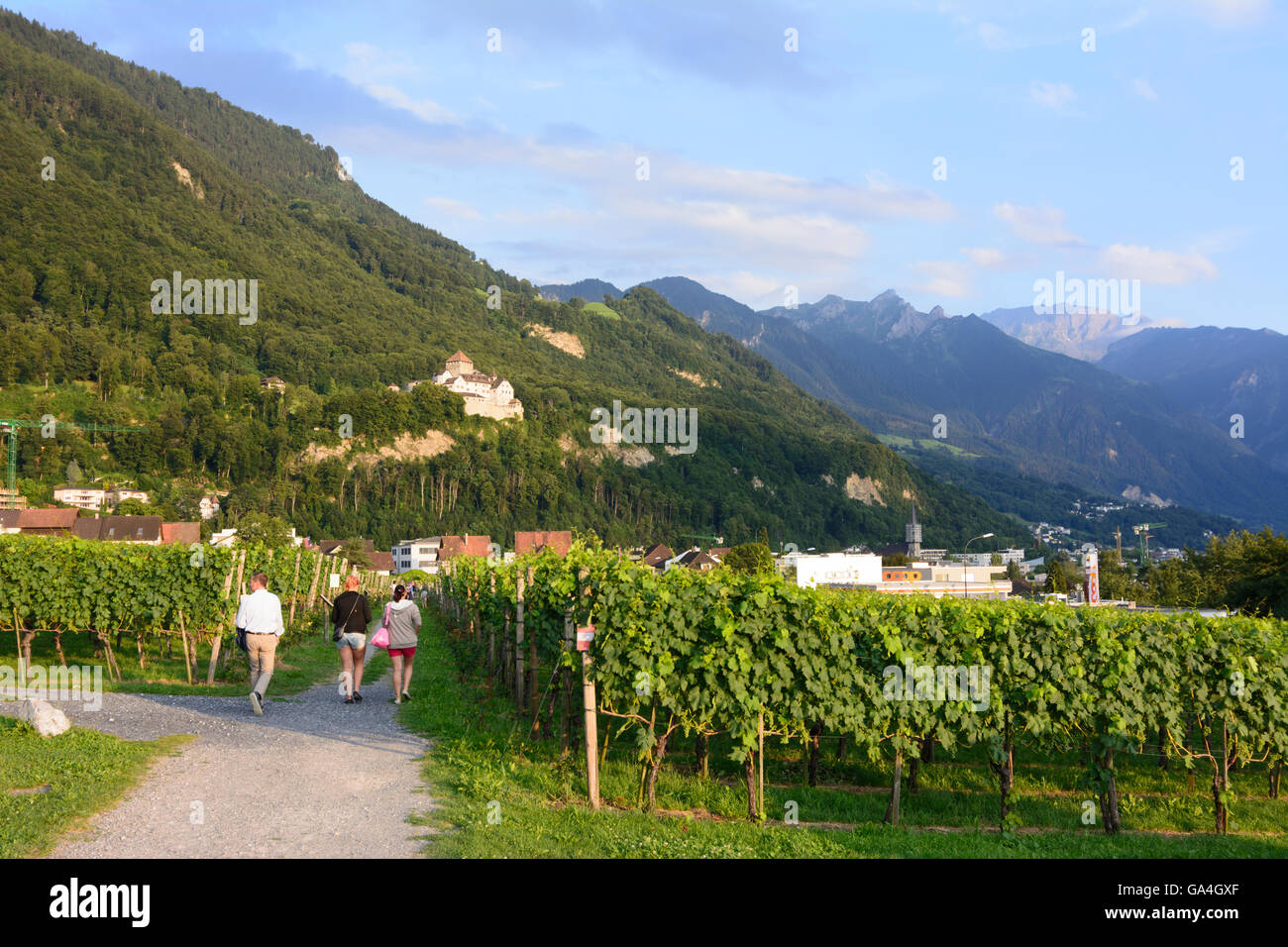 Vaduz vineyard of the royal domain, Vaduz Castle Liechtenstein Stock Photo