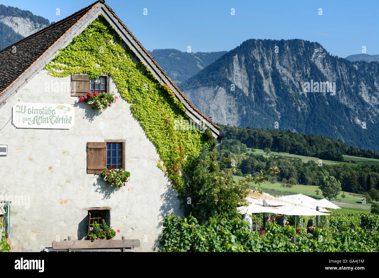 Jenins wine bar " Weinstube zum Alten Torkel " and vineyards